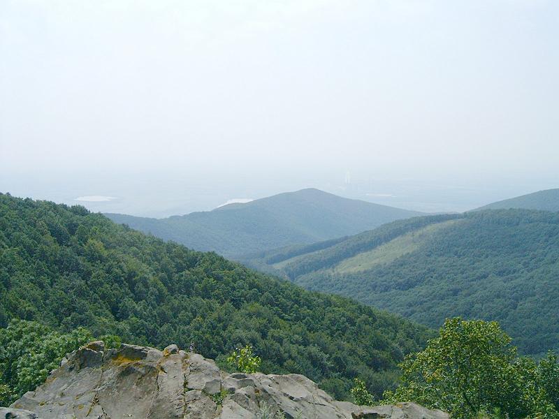 20100814 024.jpg
